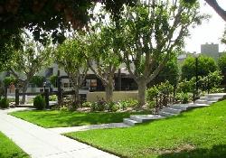 parkside-equestrian-estates-35342