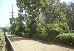 parkside-equestrian-estates-35343