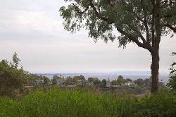 paseo-miramar-51752
