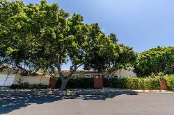 pico-neighborhood-santa-monica-47512
