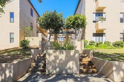 pines-pasadena-51525