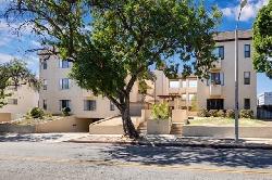 pines-pasadena-51528