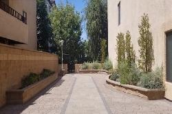 pines-pasadena-51529
