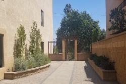 pines-pasadena-51530