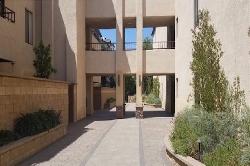 pines-pasadena-51531