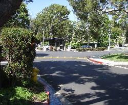 raintree-townhomes-19740