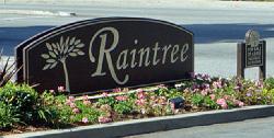 raintree-townhomes-19745