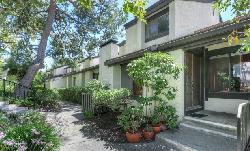 raintree-townhomes-19747