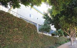 rancho-los-feliz-33733