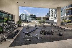 rise-hollywood-48582