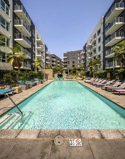 rise-hollywood-48586