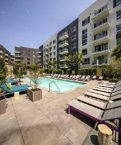 rise-hollywood-48587