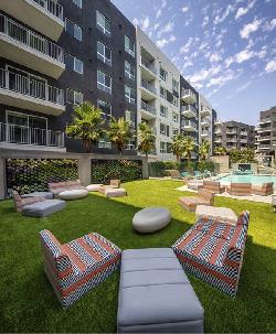 rise-hollywood-48588