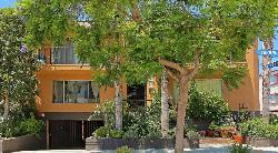romaine-terrace-24560