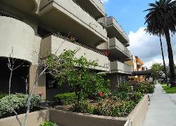 rosewood-regency-27389
