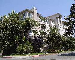 rutherford-the-10513