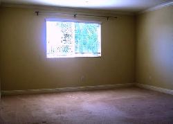 rutherford-the-10524