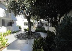 sawtelle-living-14168