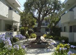 sawtelle-living-14172