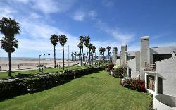 sea-colony-i-24840