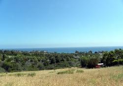 sea-star-estates-50905