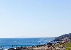 sea-star-estates-50906