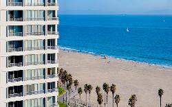 shores-the-31103