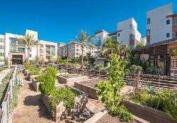 skylar-at-playa-vista-51085