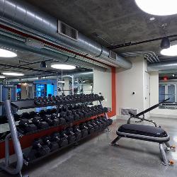 sofia-los-angeles-35001