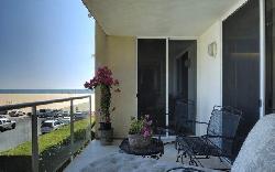 sorento-grill-16919