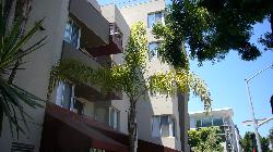 sorrento-15505