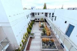stanford-west-39321