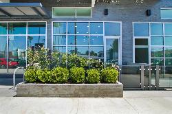 stanford-west-39332