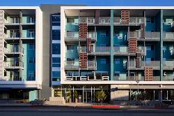 stella-14479
