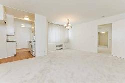 sterling-wilshire-32303