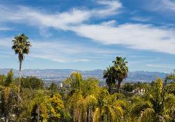 stone-oak-estates-51073