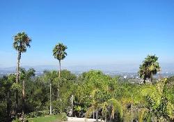 stone-oak-estates-51077