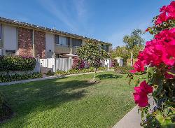 studio-village-townhouses-31930