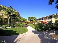 studio-village-townhouses-31953