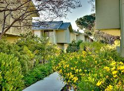 studio-village-townhouses-31955