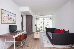 sycamore-palms-41431