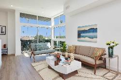 sycamore-palms-41434