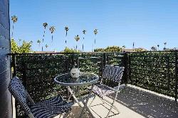 sycamore-palms-41441