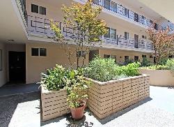 tamarind-23004