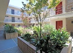 tamarind-23005
