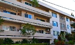 tamarind-23006