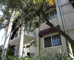 terrace-view-10396