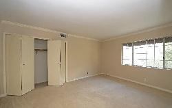 terrace-view-10402