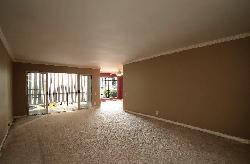 terrace-view-10404