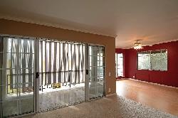 terrace-view-10405